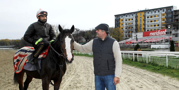СТАЗЕ ОШТЕЋЕНЕ, УГРОЖЕНИ КОЊИ: Алармантно стање арене за такмичење племенитих животиња